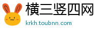 横三竖四网